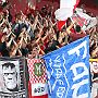 12.8.2016  Sportfreunde Lotte - FC Rot-Weiss Erfurt 2-2_22